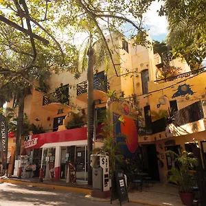 https://hotel-eclipse.allrivieramayahotels.com